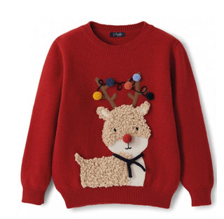 The Owl Sweater with applications A21MA379EM220