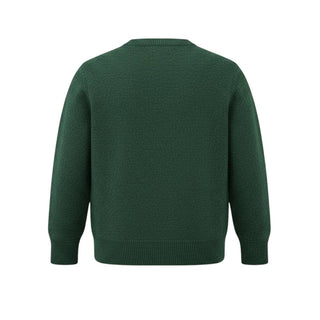 Dottor Kids Maglia girocollo in misto lana da neonato DK22