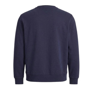 Polo Ralph Lauren Felpa Girocollo Blu Con Polo Bear 710980305001 Per Uomo