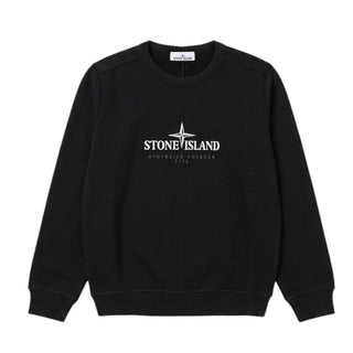 Stone Island Printed Sweatshirt 711661840