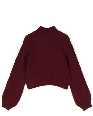 Elisabetta Franchi Maglia dolcevita con logo EFMA141.C