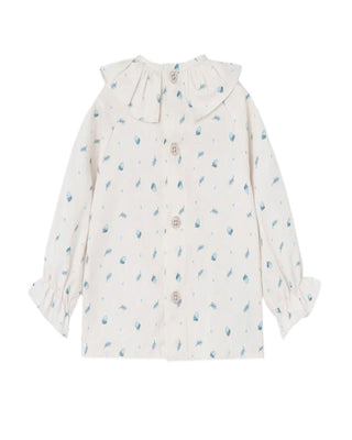 Paz Rodriguez Pagliaccetto  006-153128