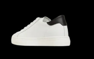 Dsquared2 Sneakers  78877 con lacci
