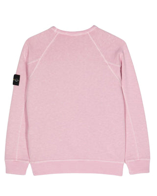 Stone Island Crewneck Sweatshirt with Logo 801660160