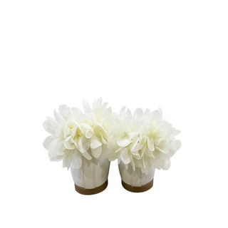 Panyno Ballerine Con Fiori Applicati b3611 e Cinturino