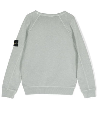 Stone Island Crewneck Sweatshirt with Logo 801660160