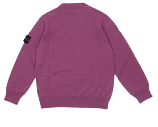 Stone Island Logo Sweater 7716509A4