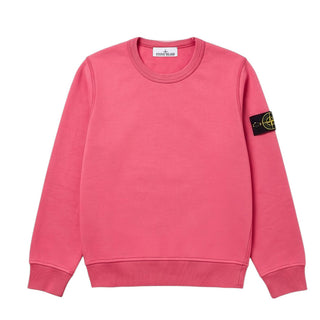 Stone Island Crewneck Sweatshirt 791661320