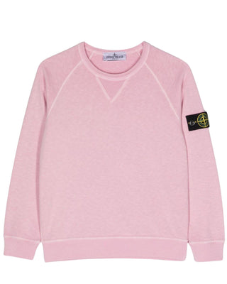 Stone Island Crewneck Sweatshirt with Logo 801660160